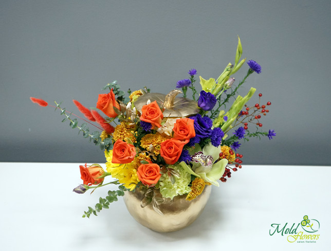 Composition with orange roses, orchids, and carnations with pumpkin photo